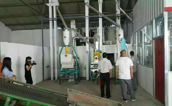 石磨面粉機械